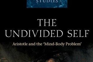 The Undivided Self book cover