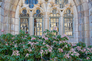 Intricate gothic windows in spring