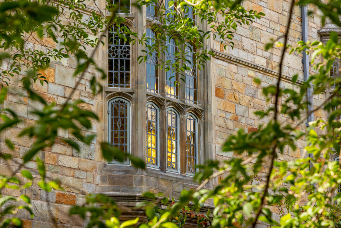 undergraduates-department-of-philosophy